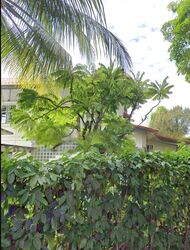 Duchess Avenue (D10), Detached #496788741
